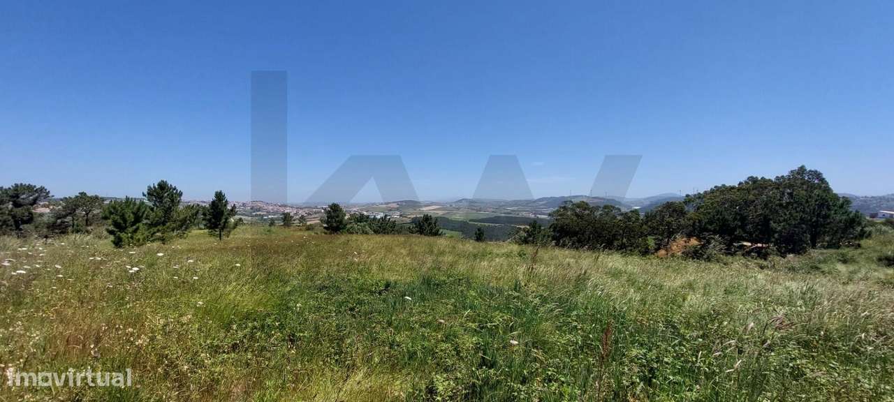 TERRENO COM VISTA MAR - LAGOA - SANTO ISIDORO - Grande imagem: 3/19