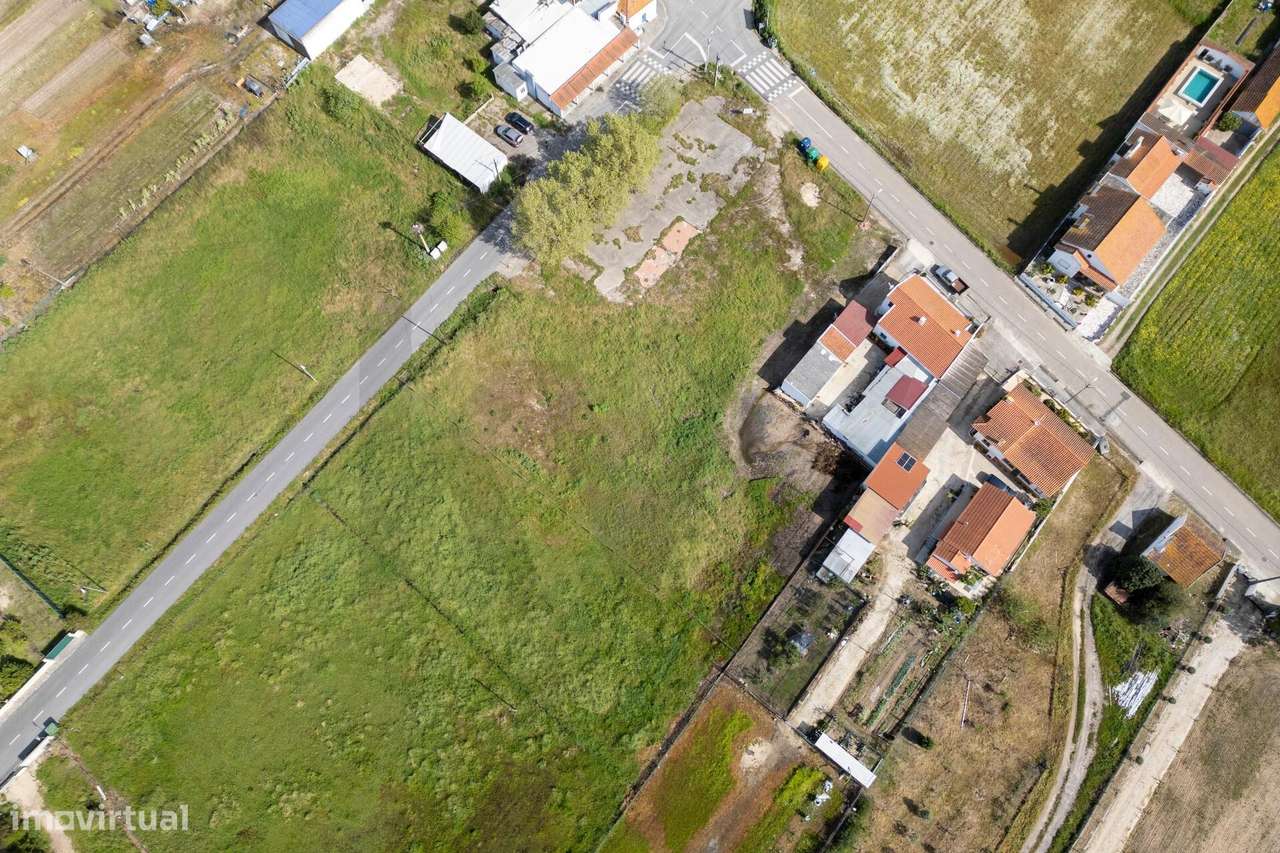 Terreno - Foros de Benfica - Grande imagem: 4/17