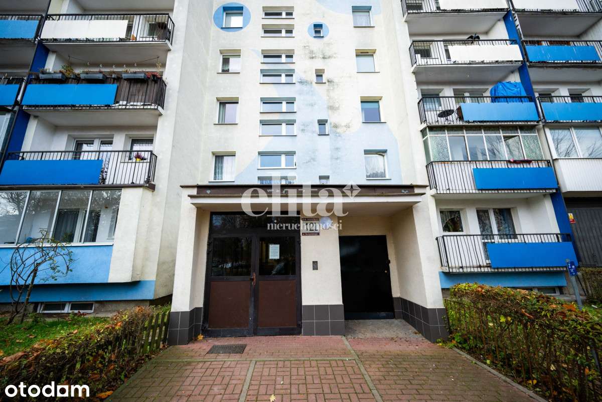 2 niezależne pokoje po generalnym remoncie | Zaspa-15