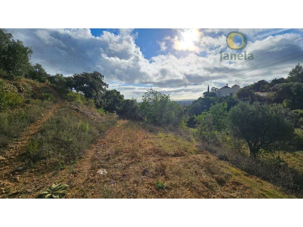 Terreno Rústico em Estoi com Poço-10