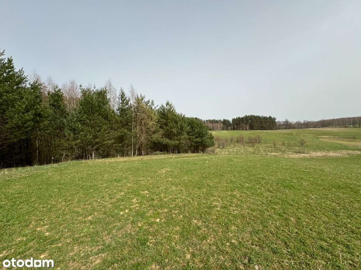 Działka, działki budowlane Suryty, jezioro Blanki-7