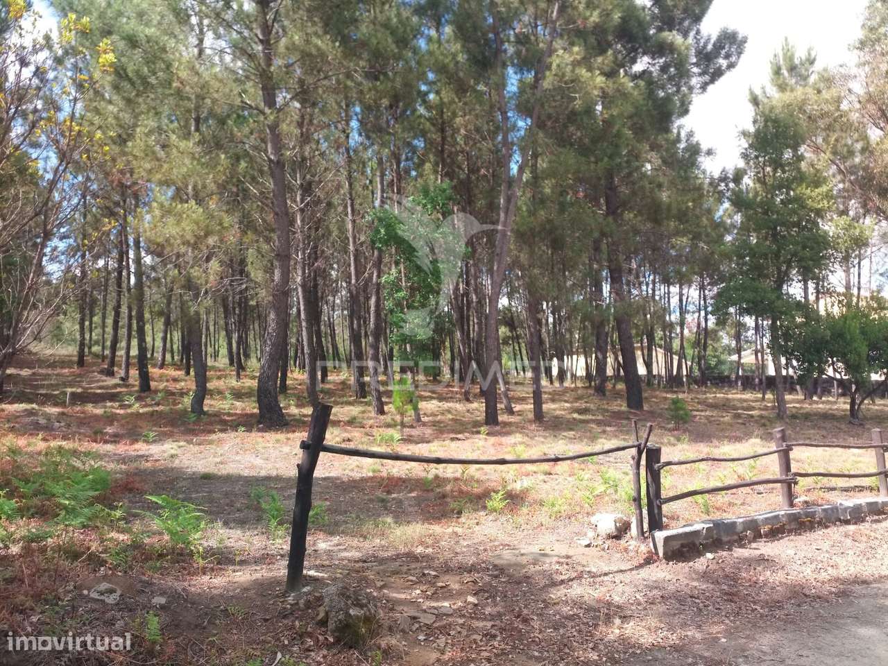 Terreno situado no Monte da Nossa Senhora do Castelo, Mangualde - Grande imagem: 4/12