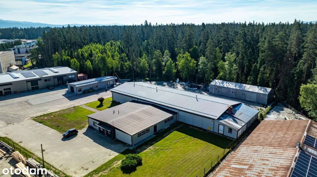 Do wynajęcia hala + biura 1000m2. Nowy Targ. - Pełny obrazek: 5/14