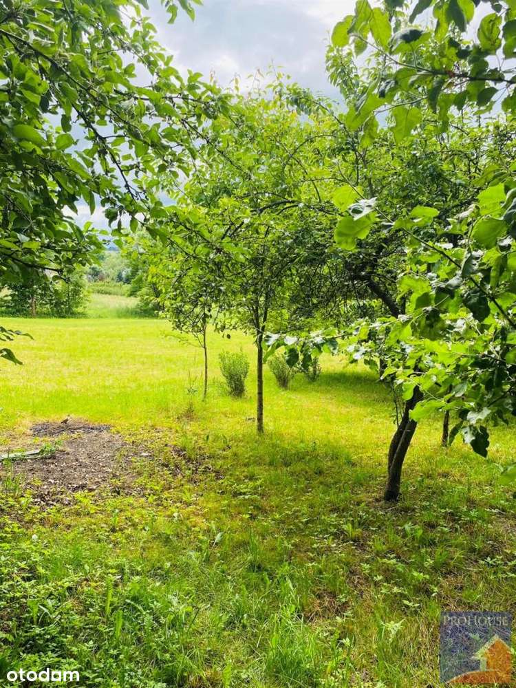 Dom jednorodzinny w spokojnej lokalizacji - Pełny obrazek: 4/20