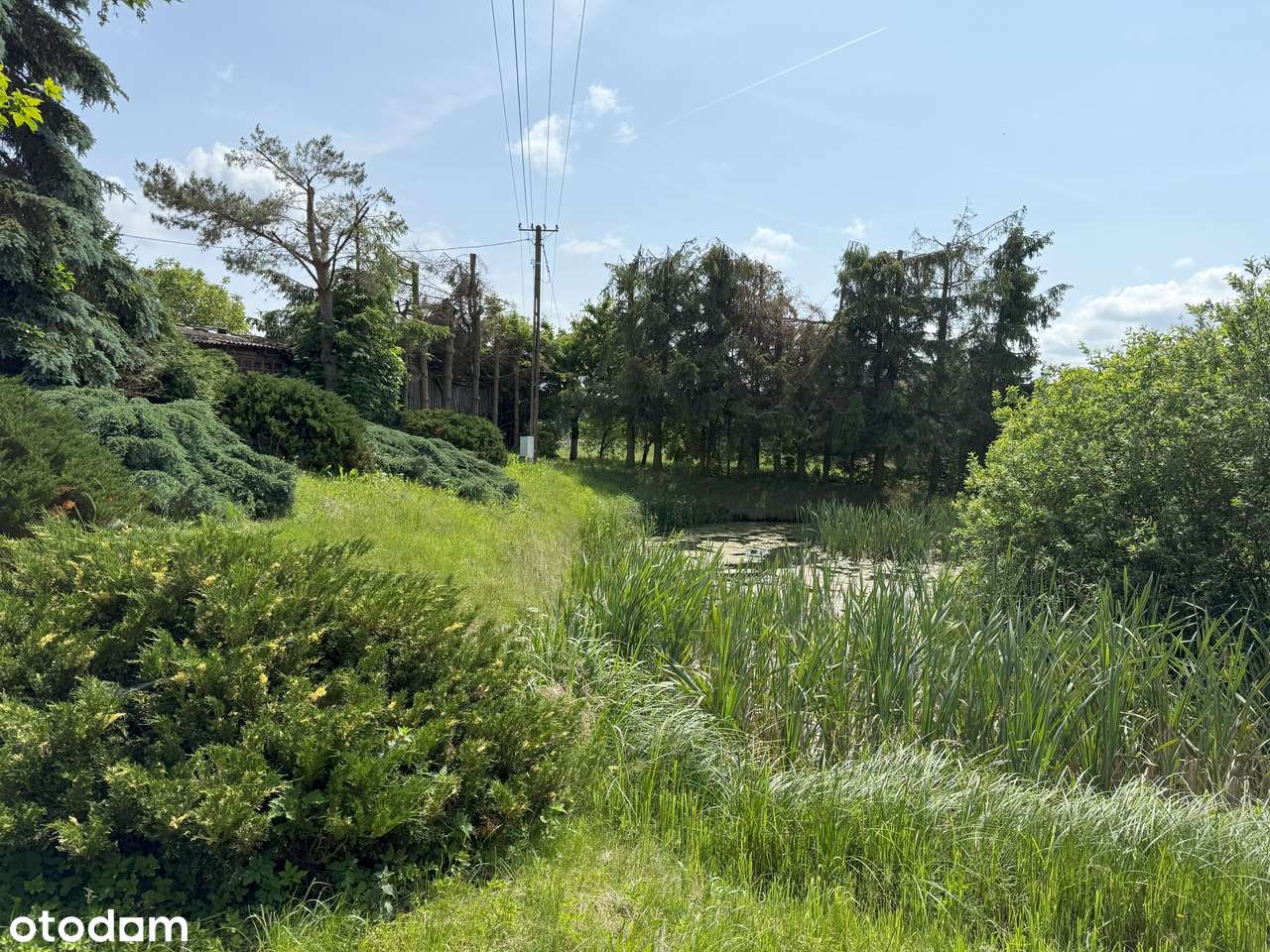 Dom z potencjałem - z ogrodem i stawem !!! - Pełny obrazek: 5/6