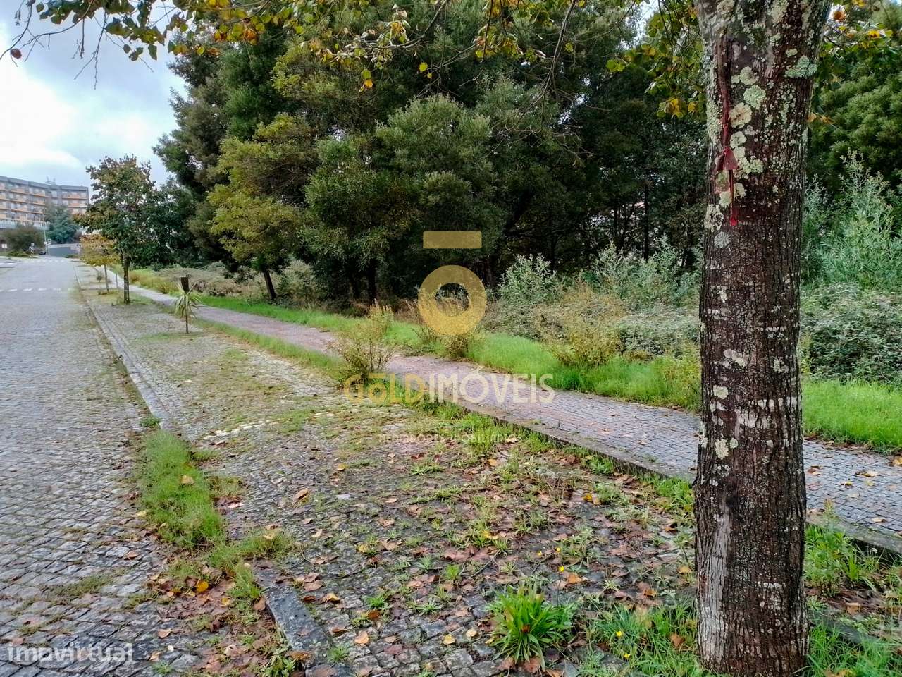 Terreno Para Construção  Venda em Alpendorada, Várzea e Torrão,Marco d - Grande imagem: 3/4