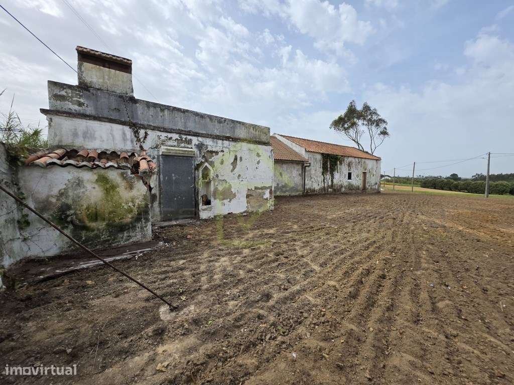 Casa Térrea para recuperar em terreno de 1840m2-6
