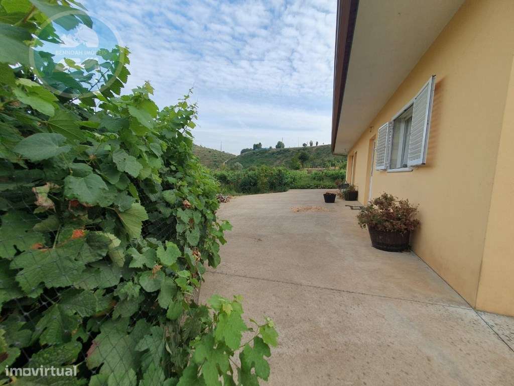 Quintinha à venda- Arco de Baúlhe-35