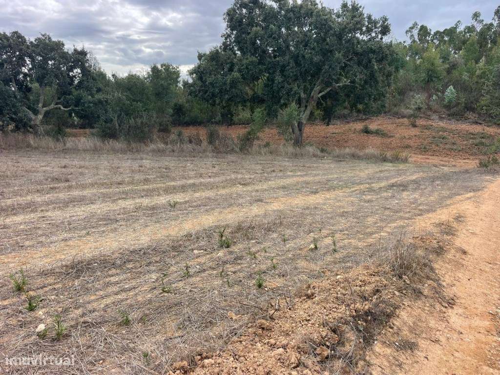 Monte Típico Alentejano para Reabilitar - Santiago do Cacém-18