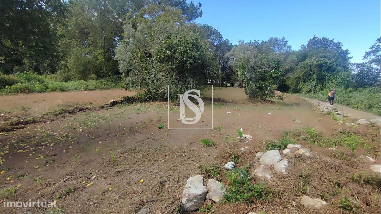 Terreno em Afife com Vista Mar - Grande imagem: 4/17