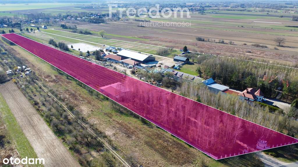 Teren 2,2 ha Czernidła obok Konstancina Jeziorna - Pełny obrazek: 5/16