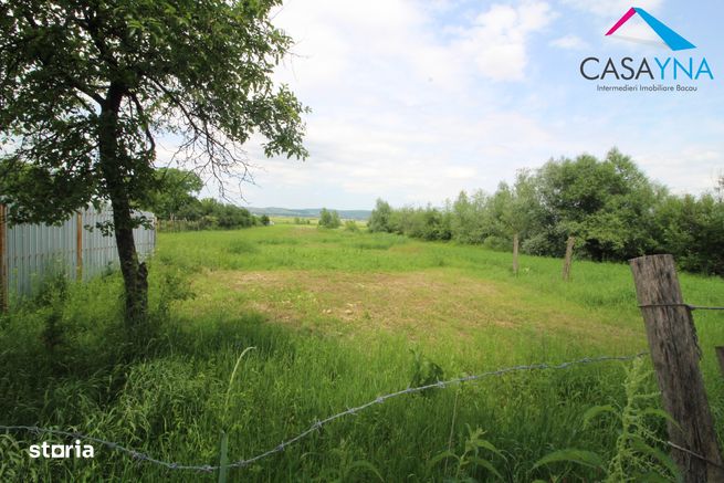 Casa cu 2000mp teren - Buda, Blagesti!-6