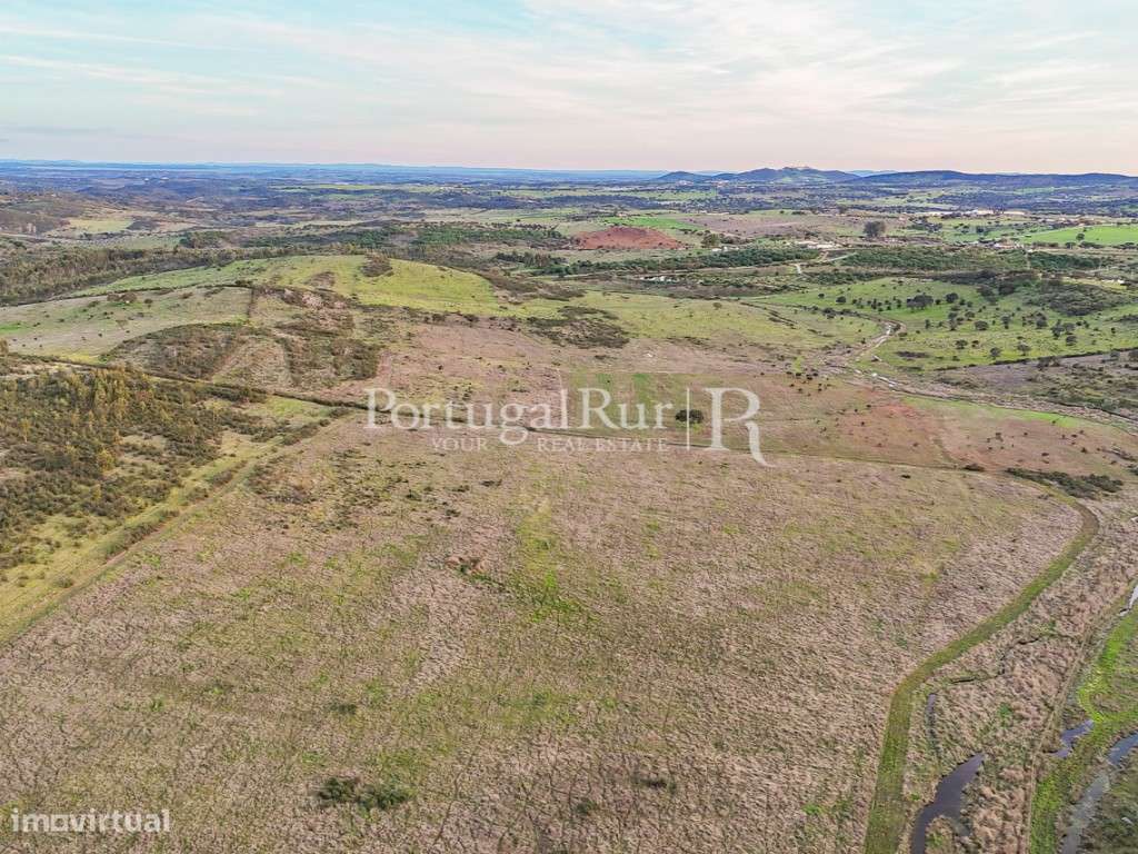 Propriedade com 15 hectares de terreno plano - Grande imagem: 5/11