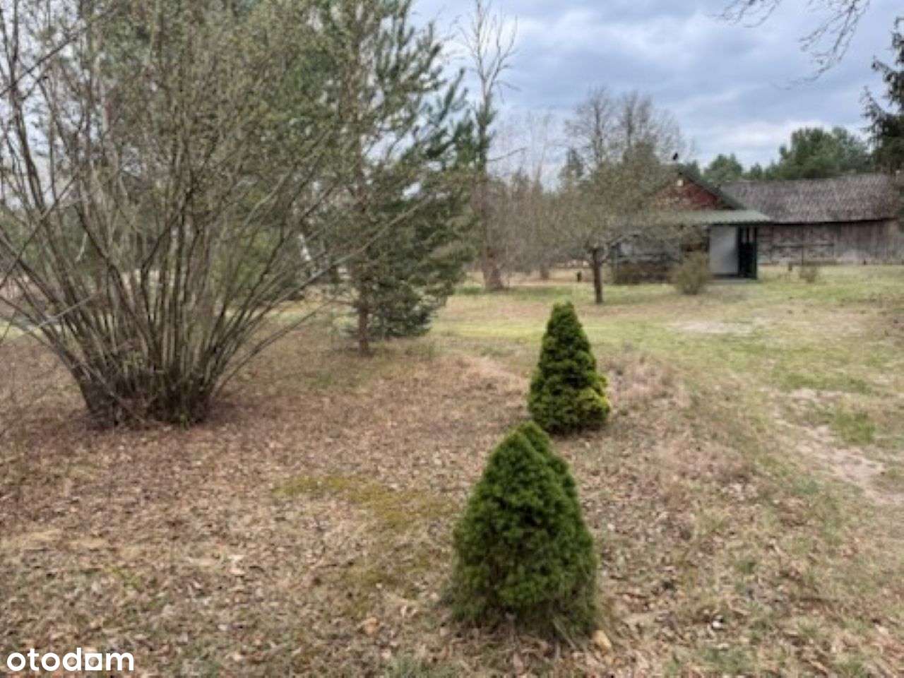 Dom na dużej działce-3