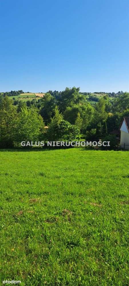 Działka rolna 2,5200 Ha i gospodarstwo-18