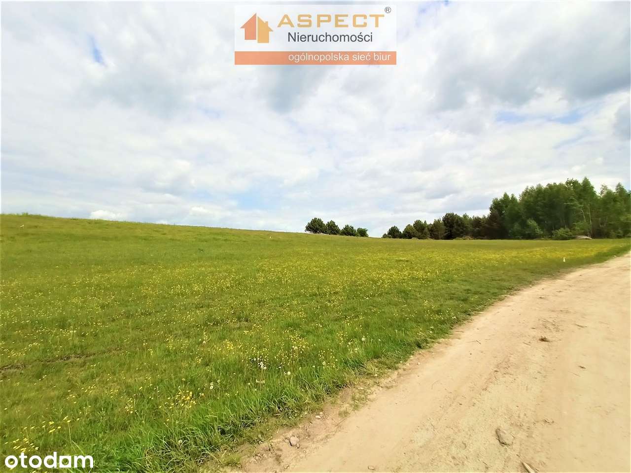 Urokliwa działka budowlana Trypucie media w drodz - Pełny obrazek: 4/6