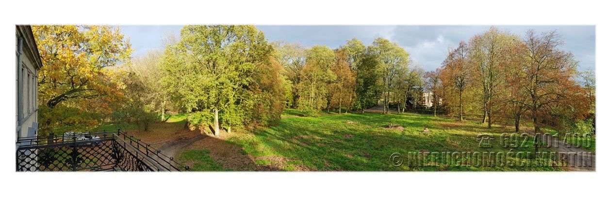 pałac w Niegolewie z parkiem 17 ha w tym rola 6 ha-11