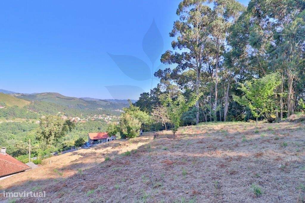 Venda terreno c/ viabilidade de construção - Vila Verde - Grande imagem: 4/25