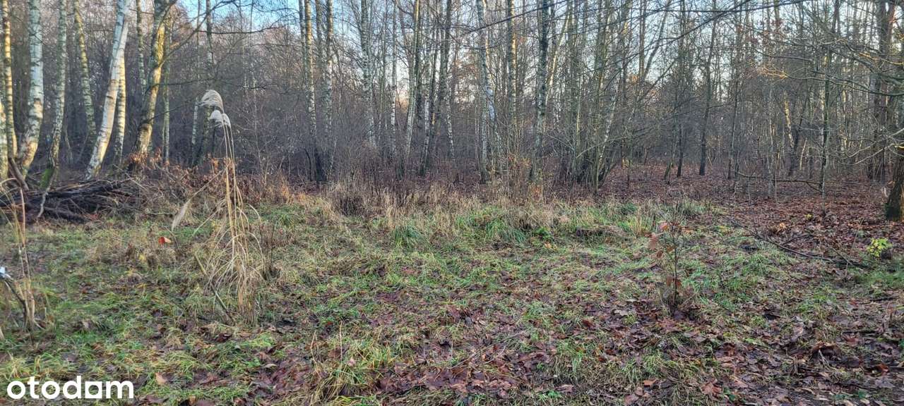 Działka budowlana, ciche i spokojne miejsce Grodzisk Mazowiecki.-10