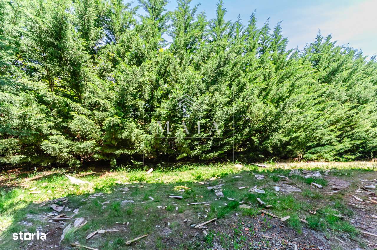 Apartament 3 camere, 110 mp curte, parcare, inconjurat de zona verde - Imagine principală: 3/5