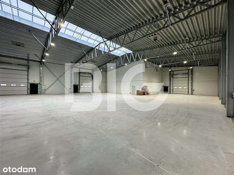 Nowy, samodzielny obiekt magazynowy - Pełny obrazek: 4/8