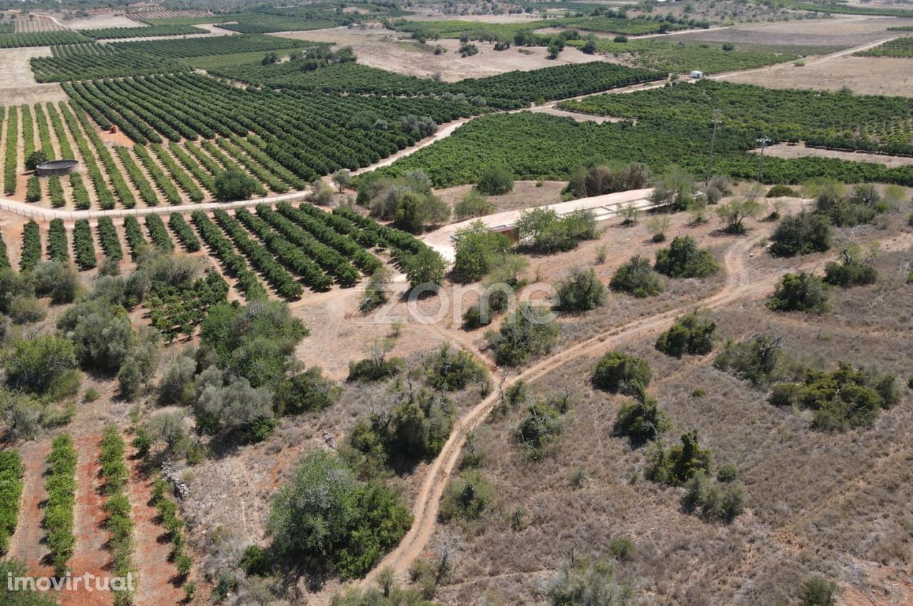 Dois Terrenos rústicos em Messines, Alfarrobeiras c/ 2.080m2