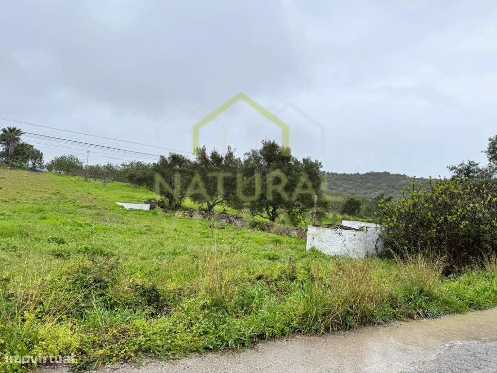 Terreno Rústico junto à Estrada, Santa Bárbara de Nexe - Grande imagem: 3/4