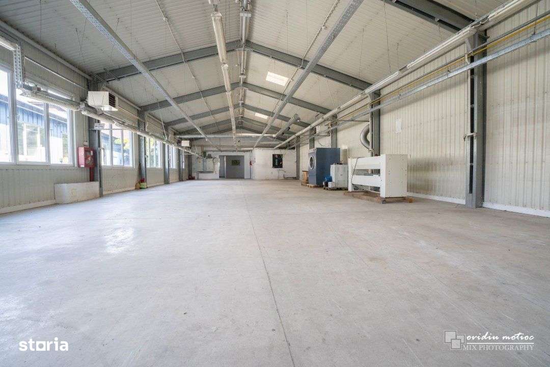 Hale in zona Calea Baciului-1