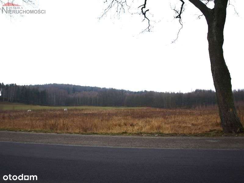 Działka - Świetlikowo-2