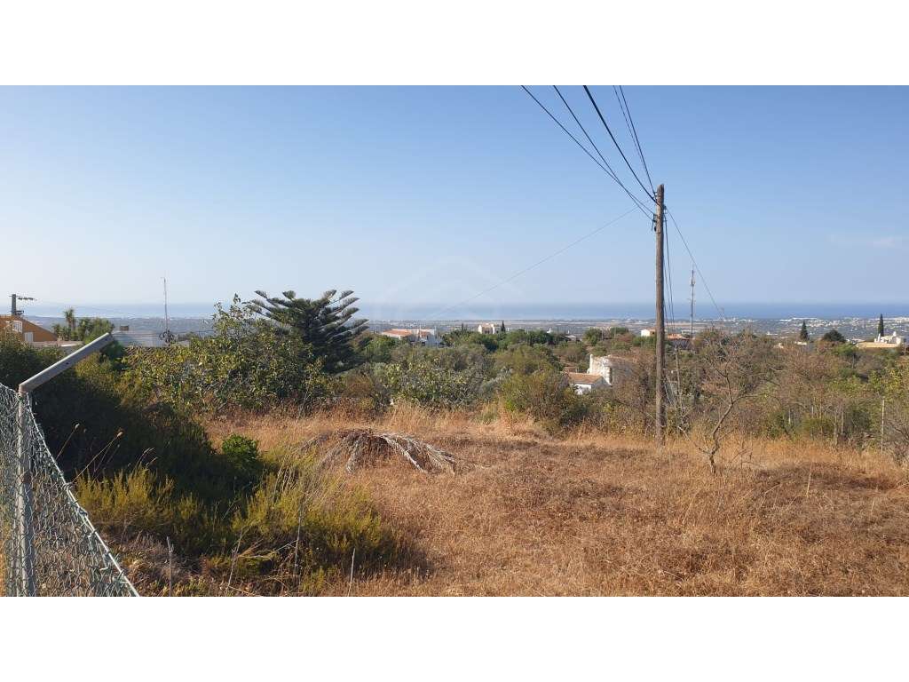 Terreno de 18.800 m2 com furo na Picota em Loulé, Algarve - Grande imagem: 3/7