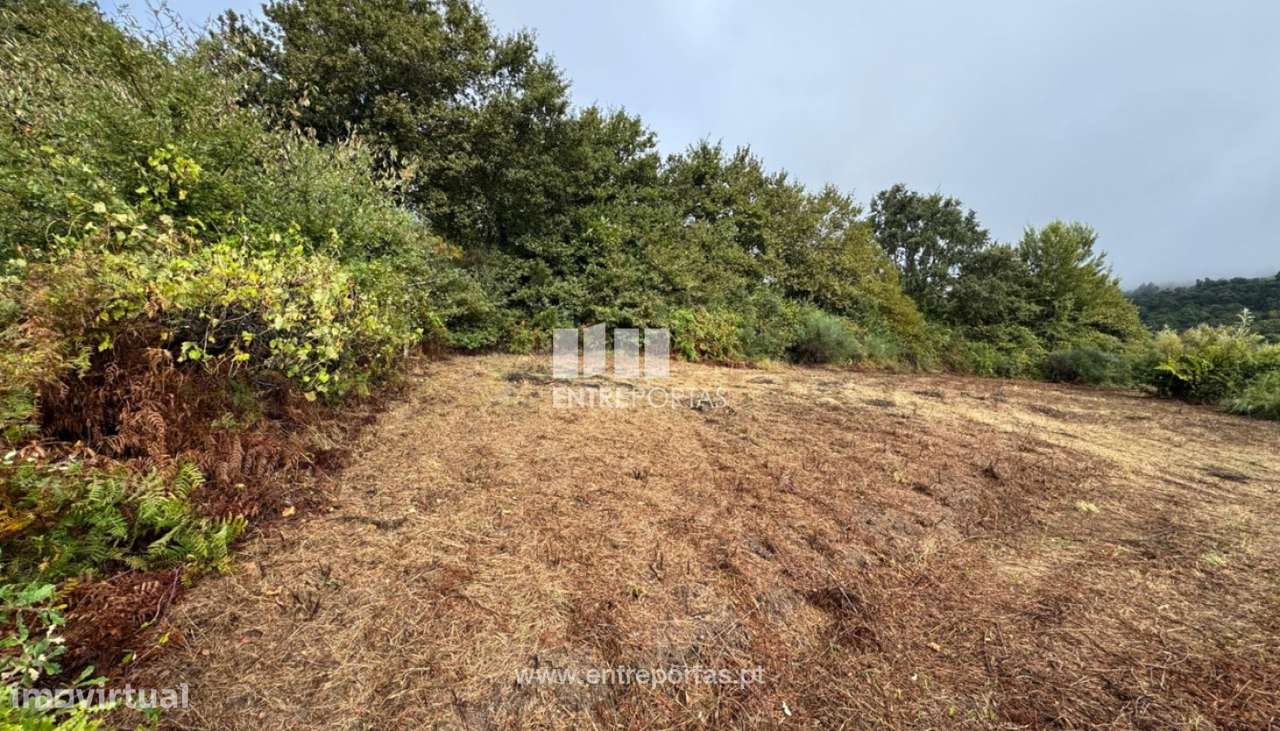 Venda de Terreno, em Stª Cruz do Douro, Baião - Grande imagem: 4/29