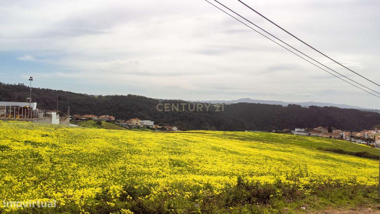 T3 com terraço e garagem-31