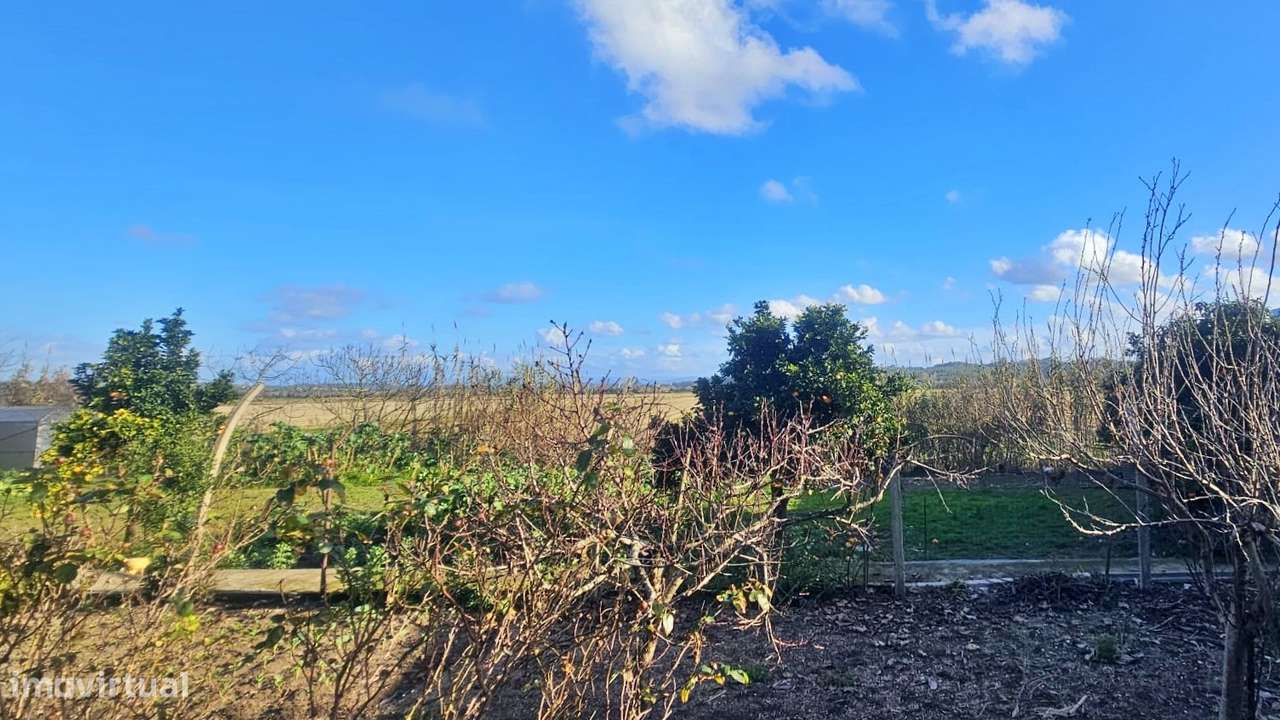 Moradia para Restaurar T1 Venda em Ereira,Montemor-o-Velho - Grande imagem: 4/34