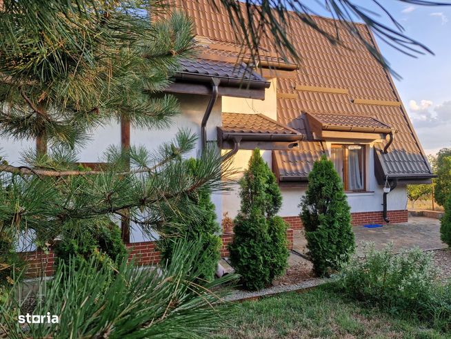 EXCLUSIV - Cafrom Imobiliare - SECIU-Vila de Vanzare-3