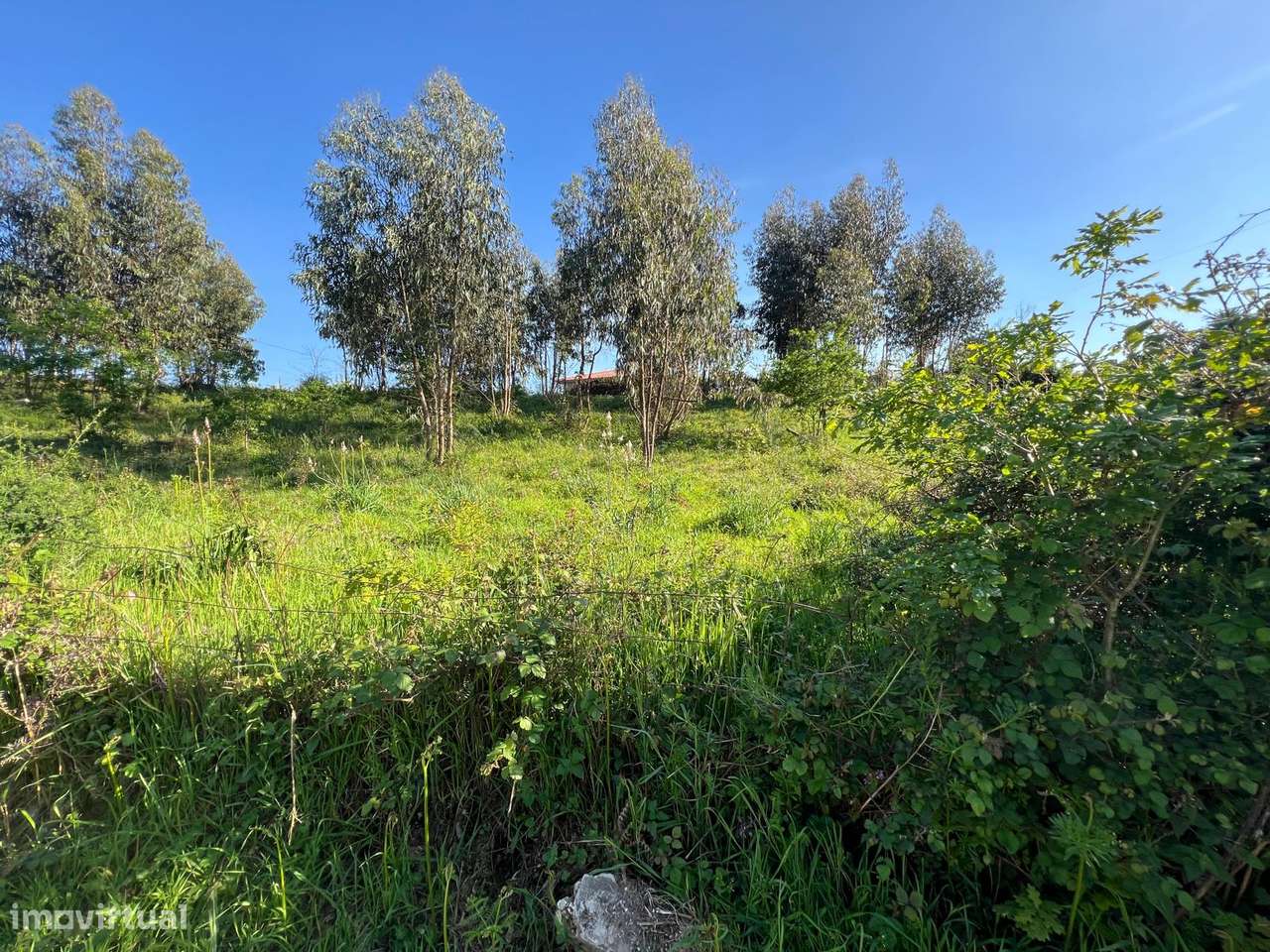 Terreno para construção em Fornelos - Grande imagem: 2/7