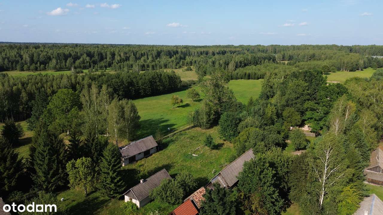 Stare Masiewo - 1840 m2 z budynkiem gospodarczym! PUSZCZA BIAŁOWIESKA! - Pełny obrazek: 3/18