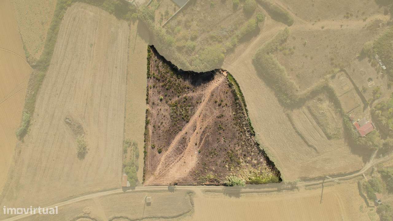**Terreno rústico com 5920 m2  - Reguengo Pequeno - Lourinhã ** - Grande imagem: 5/8