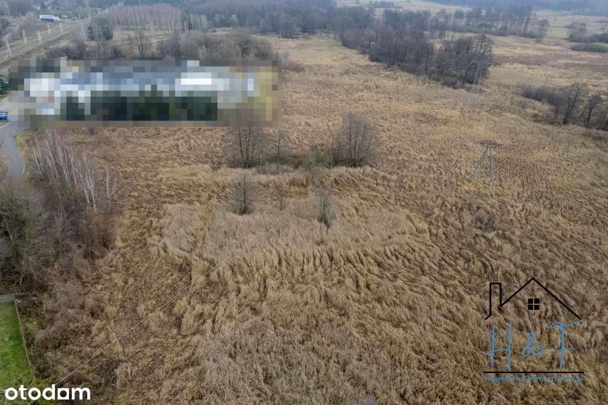 Działka przemysłowa blisko drogi wojewódzkiej - Pełny obrazek: 3/8