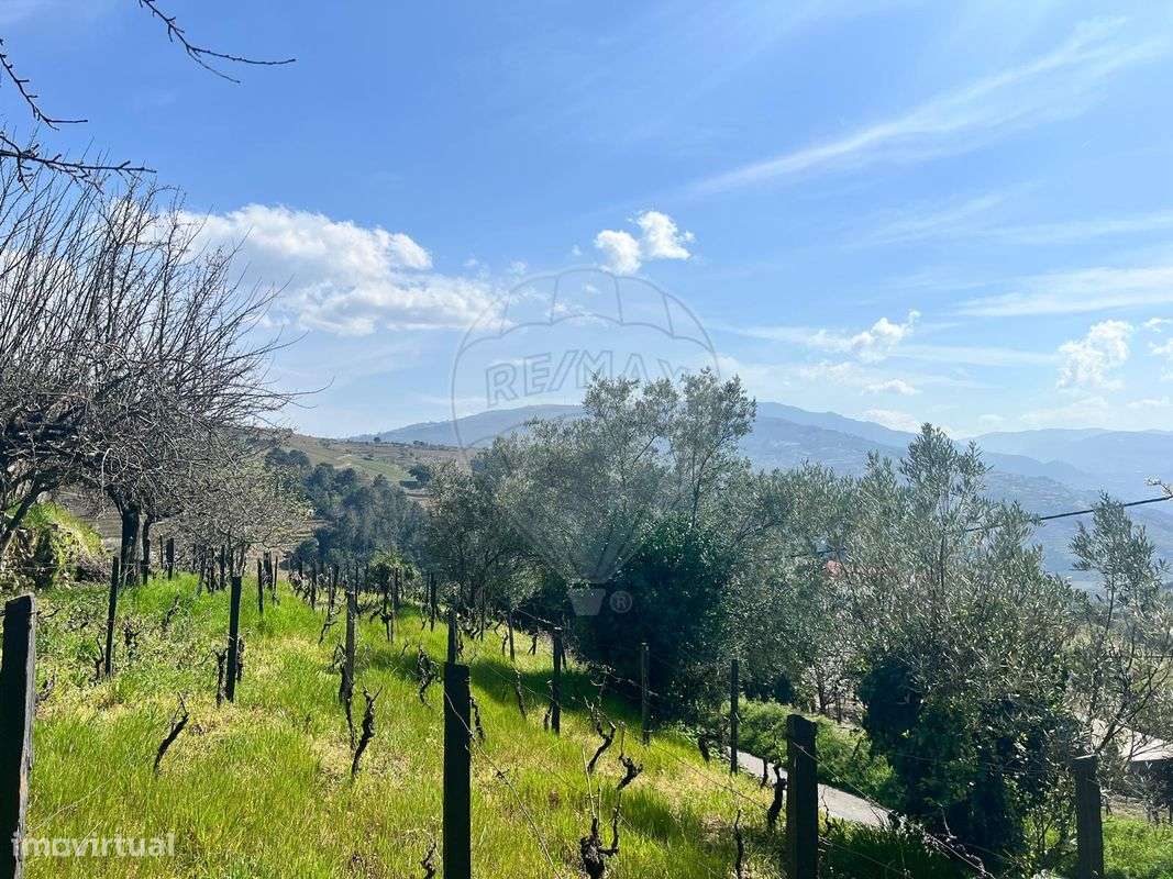 Terreno  para venda - Grande imagem: 3/9