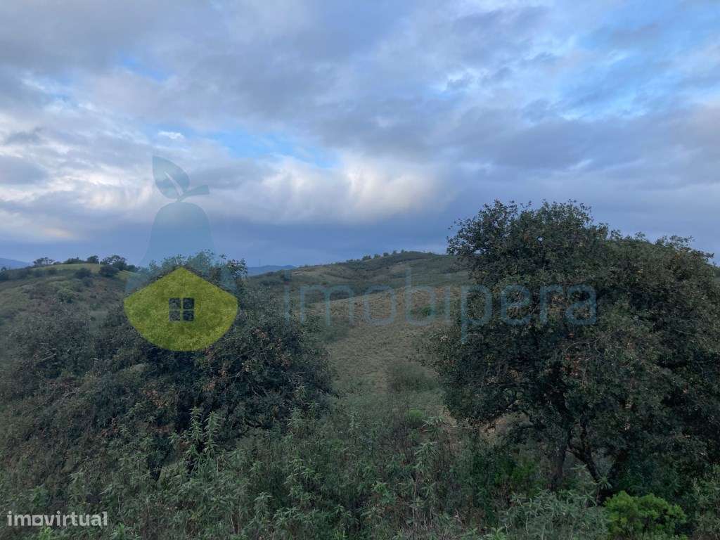 TERRENO RÚSTICO COM 29,296 m2 COM CULTURA ARVENSE - Grande imagem: 4/25