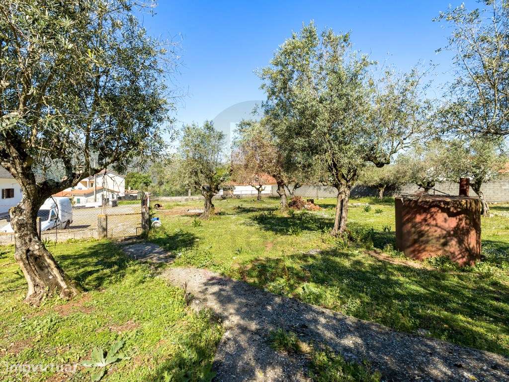 Terreno para construção em Minde, Alcanena - Grande imagem: 4/13