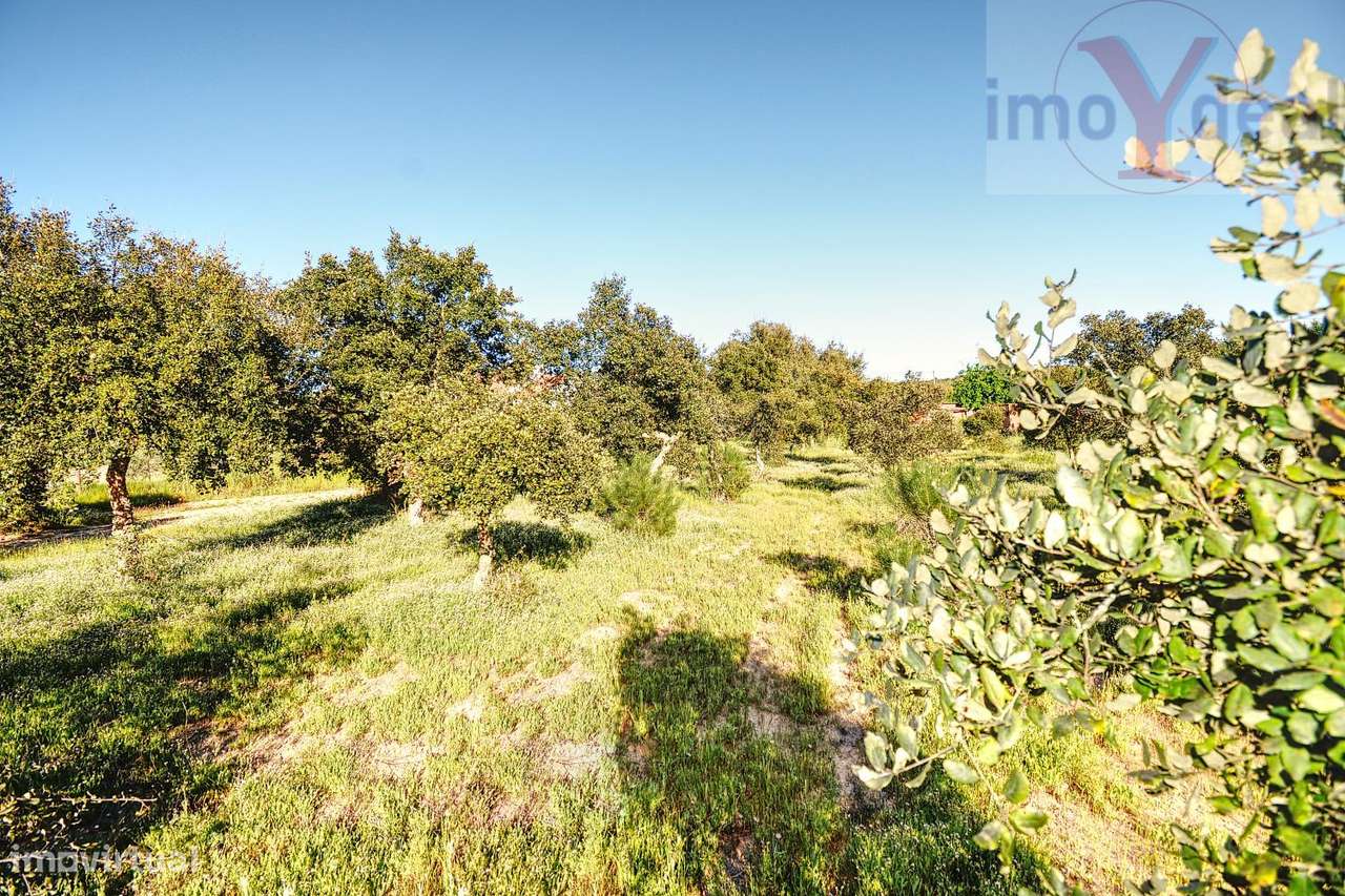 Quinta em Melides-23