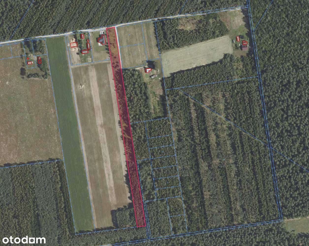 Duża działka w spokojnej okolicy - Jaźwiny k. Białej Podlaskiej