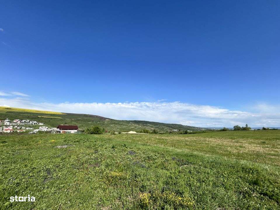 Teren de vanzare Valea Chintaului 1300mp front 24ml - Imagine principală: 4/5