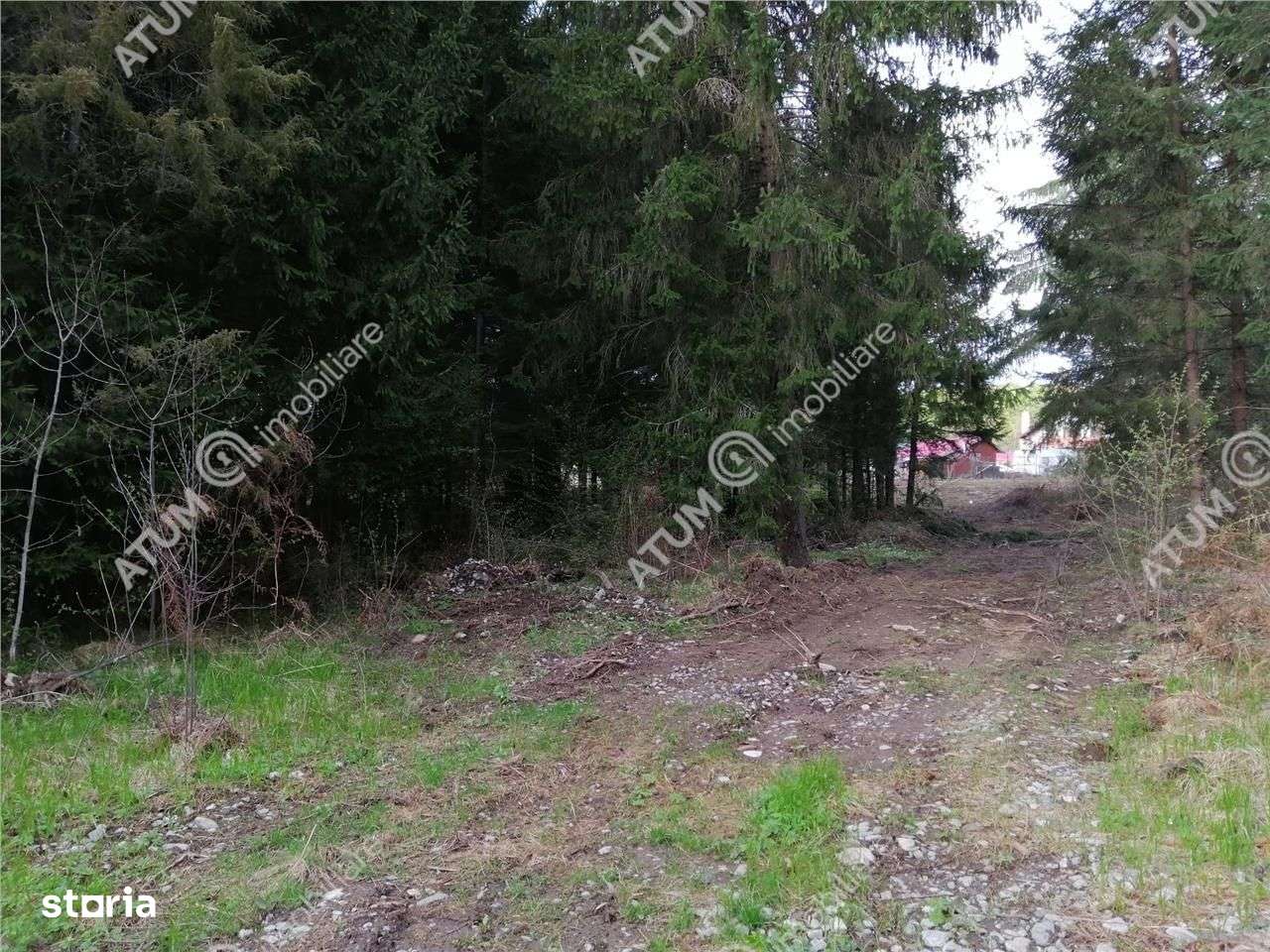 Teren intravilan de vanzare in Avrig zona Valea Avrigului - Imagine principală: 3/3