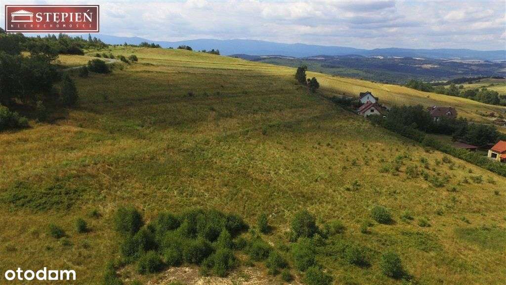 Działka, 1 531 m², Jeżów Sudecki - Pełny obrazek: 4/9