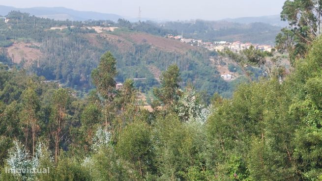 Terreno Rustico em Crestuma, Vila Nova de Gaia-10