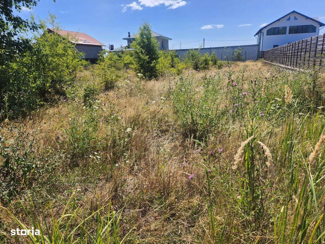 Teren intravilan de vanzare - Trivale Platou - Imagine principală: 2/4