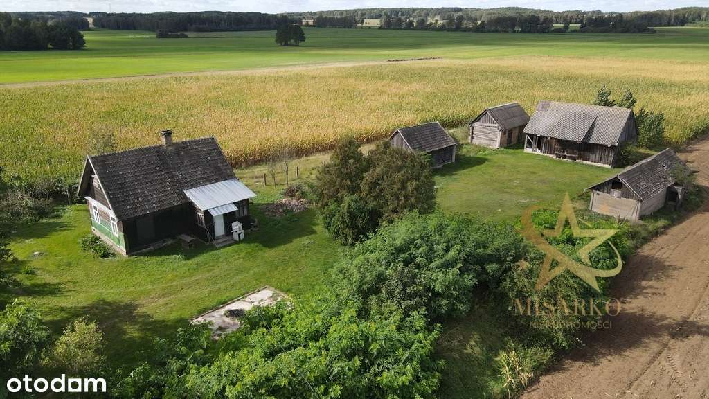 Siedlisko w Grądach, gm. Knyszyn - Pełny obrazek: 1/17