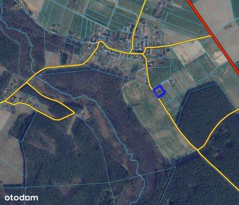 Działka 3053m2 - Głogusz gm. Sulechów - Pełny obrazek: 3/6